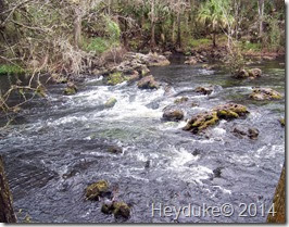 Hillsborough River State Park 017