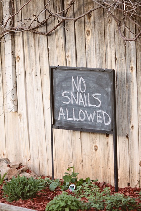 outdoorchalkboardsign3