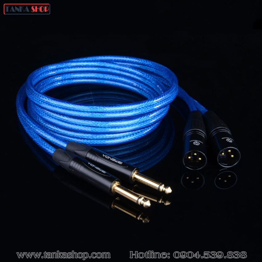 Cáp chuyển đổi jack 6.5 sang jack XLR
