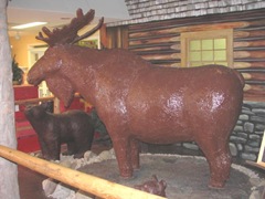 11.2011 Huge chocolate moose1