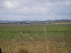 Austr_528_12.11.2007.JPG