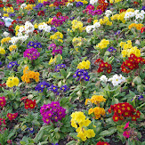 pentax_ks2_18.jpg