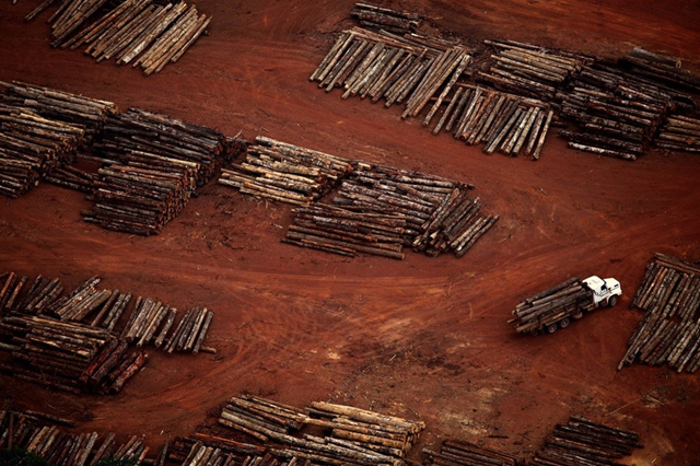 An aerial view of illegal logging in a sawmill area in Rondon do Pará, Pará, Brazil. November 2011. Photo: Rodrigo Baleia