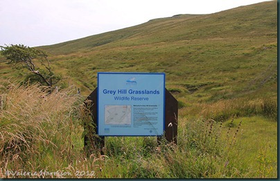 28-grey-hill-sign