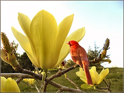 [image%255B66%255D.png]