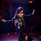 IMG_9595.jpg