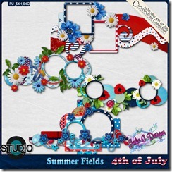 4th of July Coordinating Product
