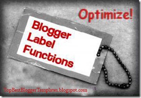 How To Make and Optimize Label functions on Blogger