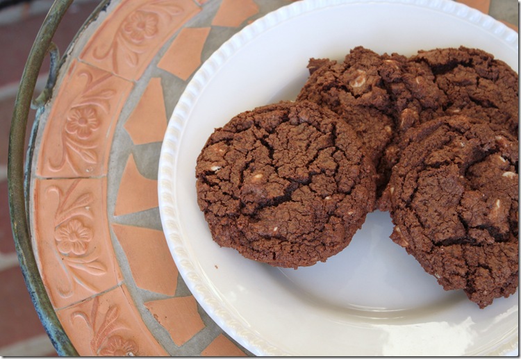 Chocolate Cookies with White Chocolate Chips 001