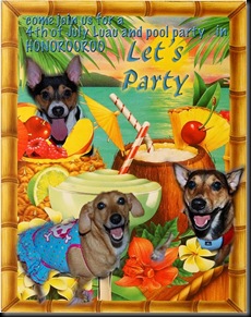 party fiesty three