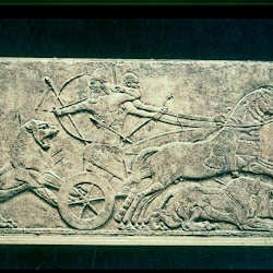 51 - Cacería de Leones de Asur-Nasir-Pal II (Londres. Museo Británico)