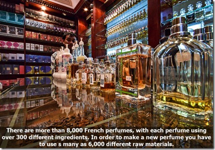 10_interesting_facts_about_smelling_640_08