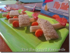 airplane snacks - The Backyard Farmwife