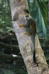 IMG_0800 IMG_0800