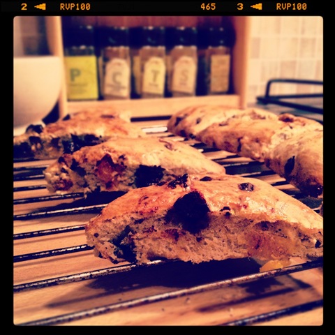 #345 - apricot and chocolate scones