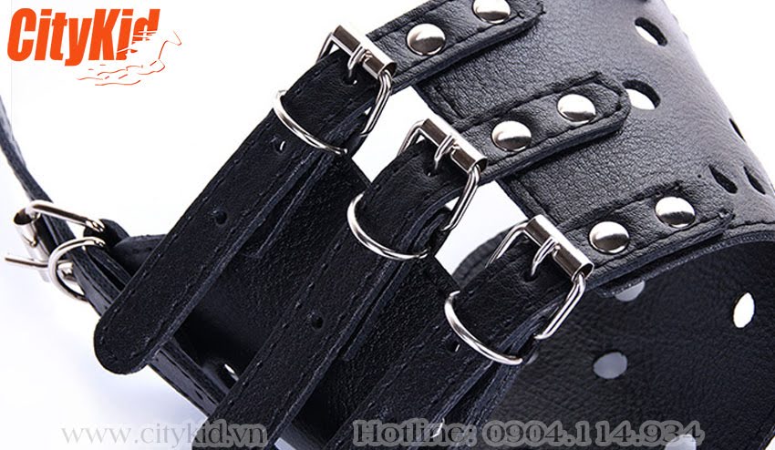 Rọ mõm chó đẹp hà nội Rọ mõm da cho chó