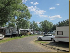 2011-7-4 carols campsite ontario canada (11) (800x600)