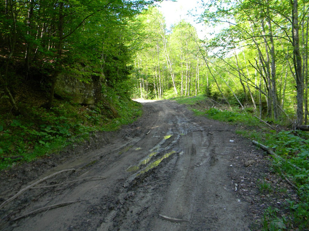 [DSCN02623.jpg]