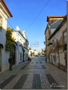P1060262 P1060262