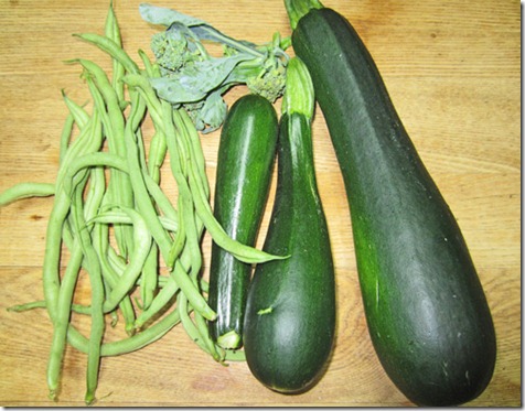 Fortex pole beans and Dunja zucchini