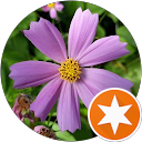 Image Google de fred Meunier