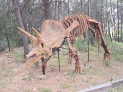 2008.09.10-015 squelette de triceratops