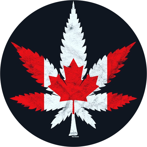 CannaHaze WeeD