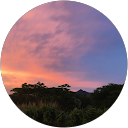 Melaleuca Properties