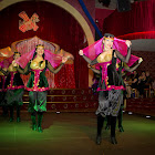 IMG_9341.jpg