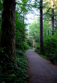 paved bike trail from the campground to the dog area
