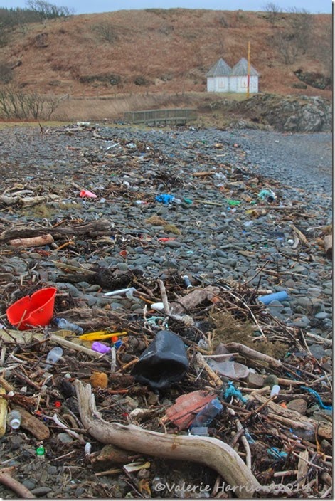 11-beach-debris