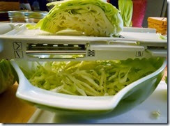 DSCN0038 DSCN0038
