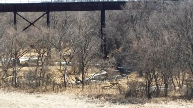 Close up of the river under the trestle bridge (photo by Trisha)