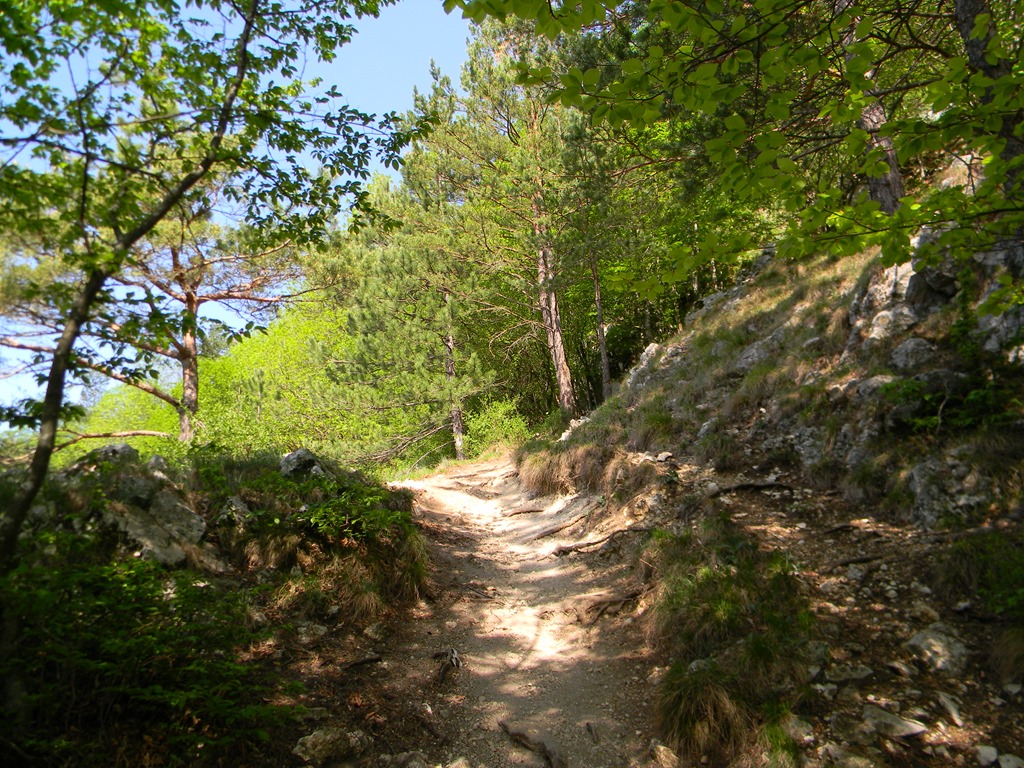 [DSCN82353.jpg]
