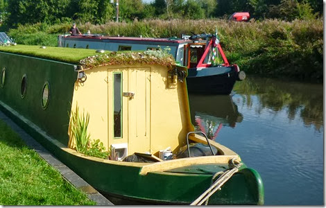 grass roof boat