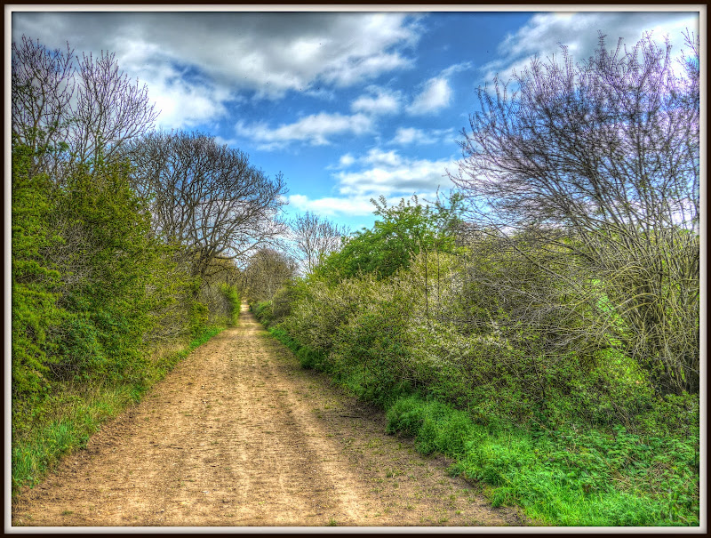Keep Pushing Those Pedals Roaming the Roman Road to Balsham