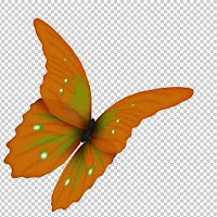 Pretty%2520Butterfly.jpg