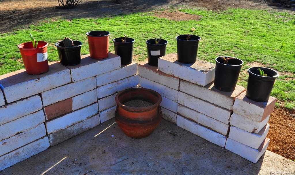 [DSC_0017%255B3%255D.jpg]