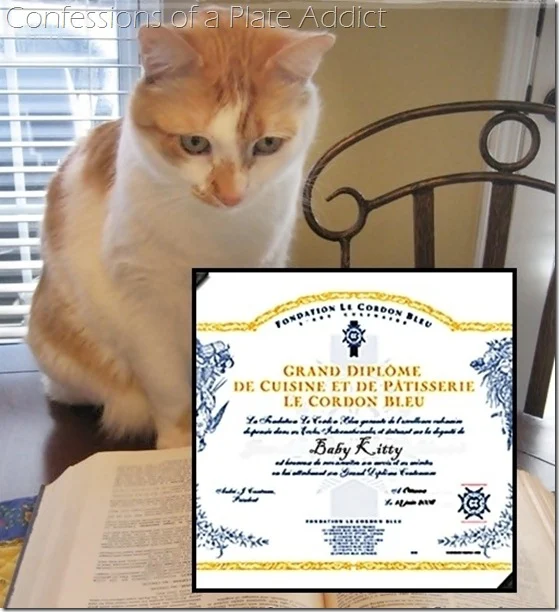 Baby Kitty's Grand Diplôme from Le Cordon Bleu Paris