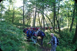 2014-15-05- Bosc de Tosca - la fageda -Bosc de Tosca 017