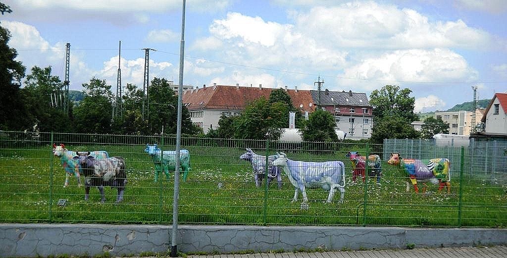 [DSCN1807%255B5%255D.jpg]