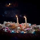 IMG_7247.jpg