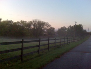 front pasture mist
