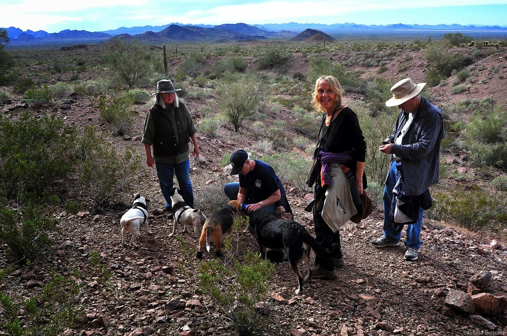 [DSC_0049%255B7%255D.jpg]