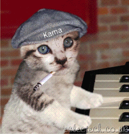 gato pianista (2)