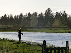 Skjern Au _ Oktober 2012 - 078
