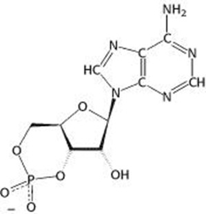 Chemical formula for non cyclic amp - virginiaLasi