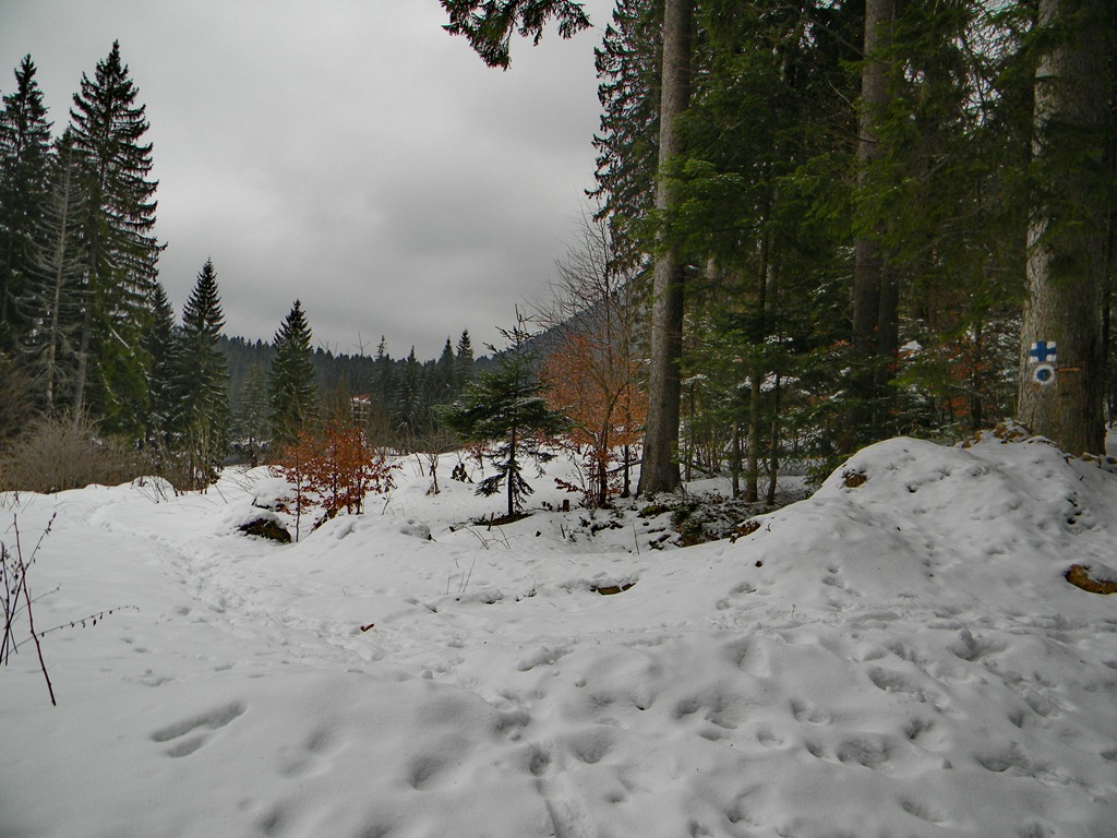 [DSCN40953.jpg]