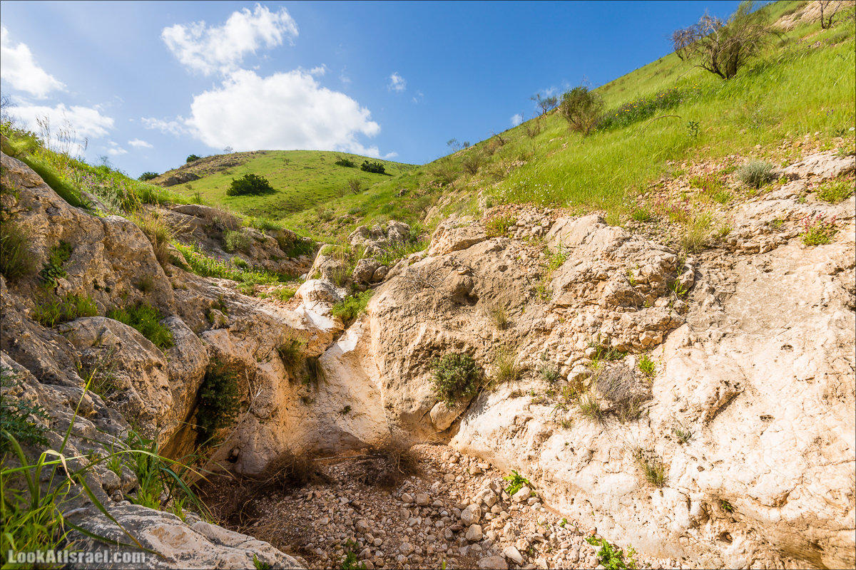 LookAtIsrael.com - Ручей (нахаль) Талкид | Nahal Talkid | נחל תלקיד