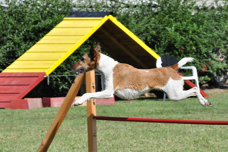 DSC_8488.JPG